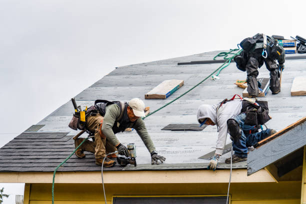 Professional Gutter Installation technician working in Paskenta, CA
